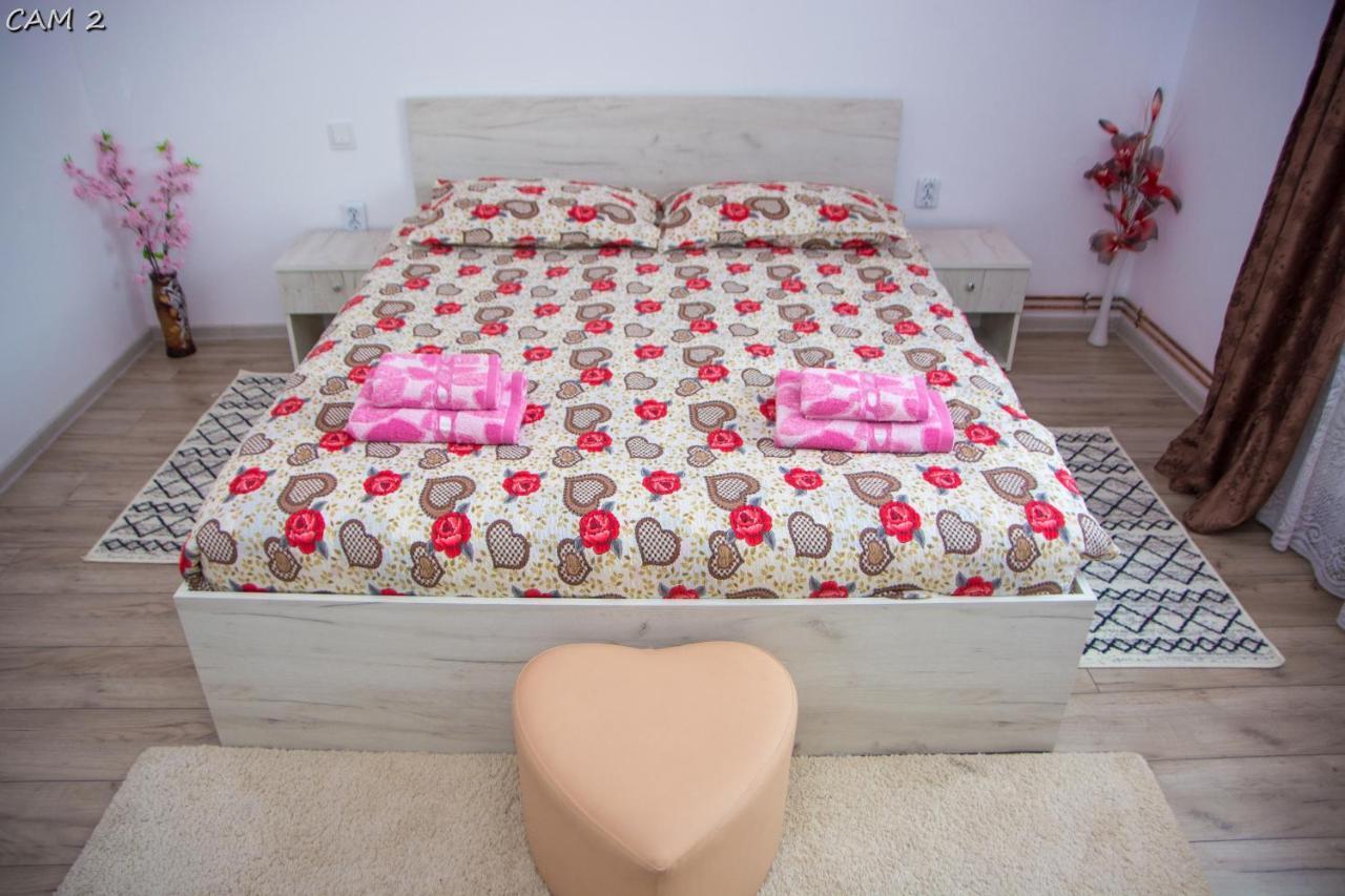 Apartmán Casa Stefania 1 Călimăneşti Exteriér fotografie