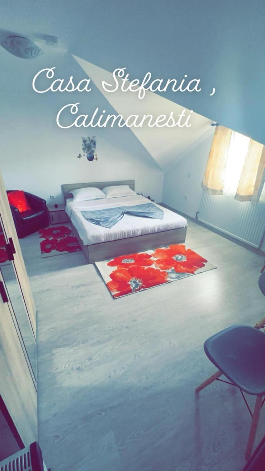 Apartmán Casa Stefania 1 Călimăneşti Exteriér fotografie