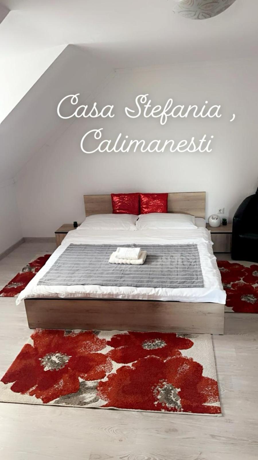 Apartmán Casa Stefania 1 Călimăneşti Exteriér fotografie